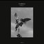 Conspiracy Pt.1 - Single