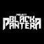 Project Black Pantera [Explicit]