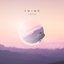 Shine - Single