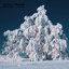 Winter:2026