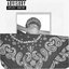 not the cat yall saw yesterday [Explicit]