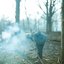 Controlled Burn