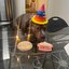 birthday