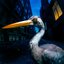 Decoding Birdsong