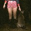 Bloodhound