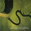 The Serpent’s Egg