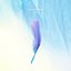 Present : YOU
