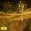 J.S. Bach: Air on the G String (Arr. Ólafsson for Piano from Orchestral Suite No. 3, BWV 1068)