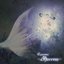 Episodes -Merrow-