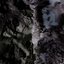 シュハラ山頂にて共に