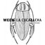 The La Cucaracha Sessions