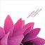 Active Ingredient - Cates&dpL Remixes