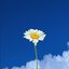Beautiful Day