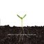 Balance and Composure\Tigers Jaw - EP