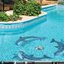 Oasis Haven