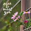 Nice To Meet You