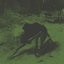 dirt/hurt/pain