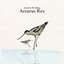 Arturus Rex