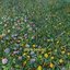 Même l'impossible fleurit