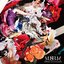 MYTH & ROID BESTアルバム「MUSEUM-THE BEST OF MYTH ＆ ROID-」
