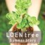 Loen Tree Summer Story