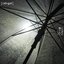 この雨に撃たれて（霧雨盤）