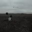The Search (Edit) - Single