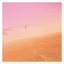 Annabel / Dowsing