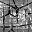 infinitati [variant immersions]