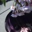 永すぎた春