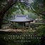 Temple Forest Flute Meditations