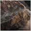 A burnished stone