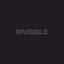 Invisible 019