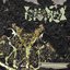 Desiccation In Progress II