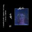 Spike - EP