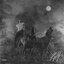 The Night Champion