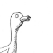 Avatar for sosoconsistent