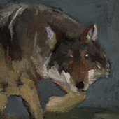 Avatar for rottingcreature