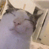 Avatar for dooooooooooge
