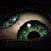Avatar for madA22