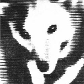 Avatar di St_Decadency
