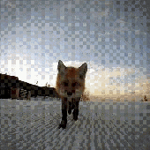 Avatar for skyedotmp5