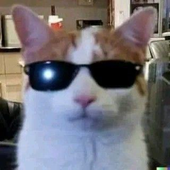 Avatar for Afternooooooon