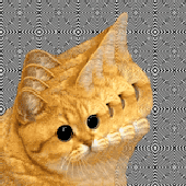 Avatar di StevenHelock