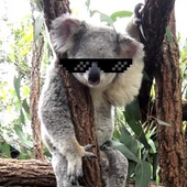 Avatar for Freaq14