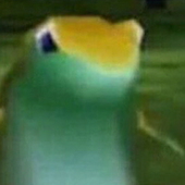 Avatar für SiameseDerp
