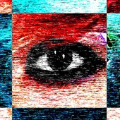 mxMXRXSE