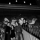 IMG_7940.jpeg
