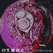 Livewire (Downtempo Version)