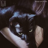 lull
